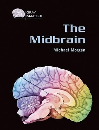 [object Object] «The Midbrain», автор Майкл Морган - фото №1