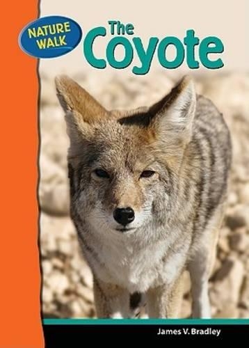 Паперова книга «The Coyote», автор Джеймс Бредлі - фото №1