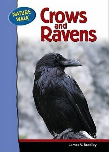 [object Object] «Ravens and Crows», автор Джеймс Брэдли - фото №1