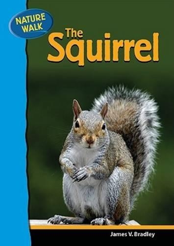 Паперова книга «The Squirrel», автор Джеймс Бредлі - фото №1