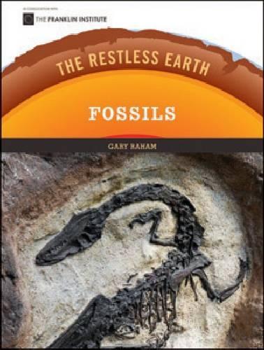 Бумажная книга «Fossils», автор Гэри Рахам - фото №1