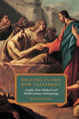 Бумажная книга «Healing in the New Testament: Insights from Medical and Mediterranean Anthropology», автор Джон Дж. Пилч - фото №1