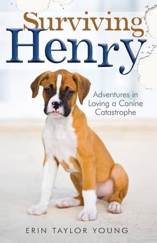 Бумажная книга «Surviving Henry – Adventures in Loving a Canine Catastrophe», автор Эрин Тейлор Янг - фото №1
