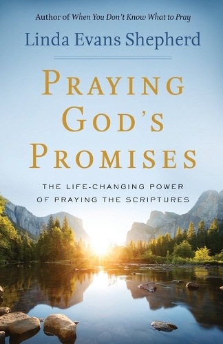 Бумажная книга «Praying God`s Promises – The Life–Changing Power of Praying the Scriptures», автор Линда Эванс Шепард - фото №1