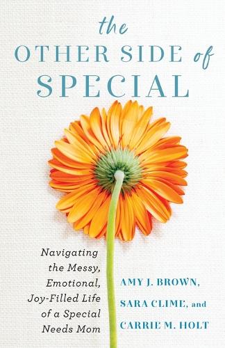 Бумажная книга «The Other Side of Special – Navigating the Messy, Emotional, Joy–Filled Life of a Special Needs Mom», авторов Эми Дж. Браун, Кэрри М. Холт, Сара Клайм - фото №1