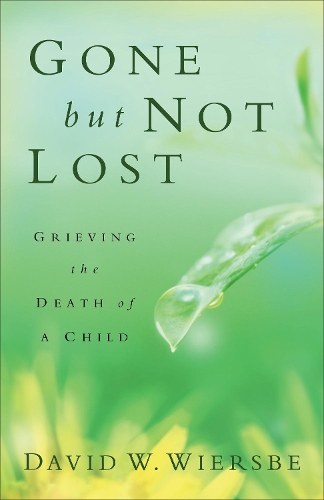 Бумажная книга «Gone but Not Lost – Grieving the Death of a Child», автор Дэвид У. Вирсбе - фото №1