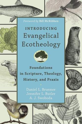 Паперова книга «Introducing Evangelical Ecotheology – Foundations in Scripture, Theology, History, and Praxis», авторів А. Я. Свобода, Білл МакКіббен - фото №1