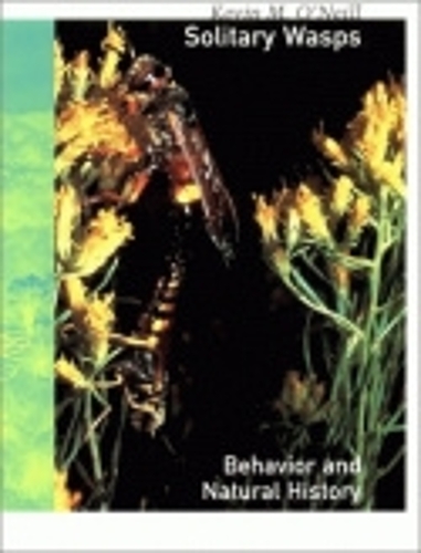 Бумажная книга «Solitary Wasps: Behavior and Natural History», автор Кевин М. О'Нил - фото №1