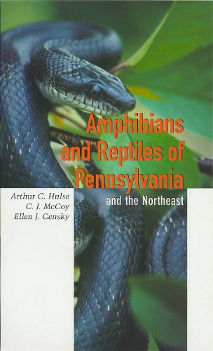 Бумажная книга «Amphibians and Reptiles of Pennsylvania and the Northeast», авторов Артур К. Халс, К. Дж. Маккой, Эллен Ценски - фото №1