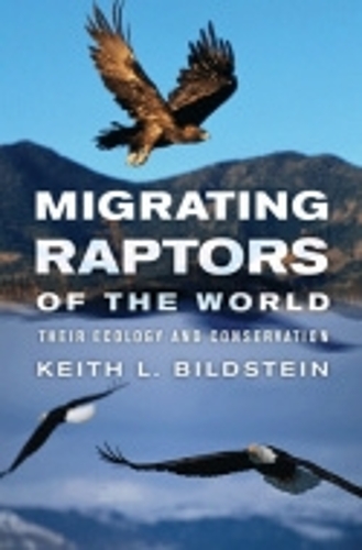 Бумажная книга «Migrating Raptors of the World: Their Ecology and Conservation», автор Кит Л. Бильдштейн - фото №1
