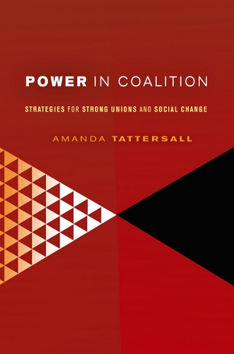 Бумажная книга «Power in Coalition: Strategies for Strong Unions and Social Change», автор Аманда Тэттерсолл - фото №1