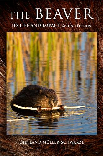 Бумажная книга «The Beaver: Natural History of a Wetlands Engineer», автор Дитланд Мюллер-Шварце - фото №1