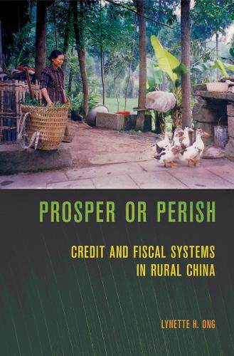 Бумажная книга «Prosper or Perish: Credit and Fiscal Systems in Rural China», автор Линетт Х. Онг - фото №1