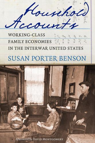 Бумажная книга «Household Accounts: Working-Class Family Economies in the Interwar United States», автор Сьюзан Портер Бенсон - фото №1