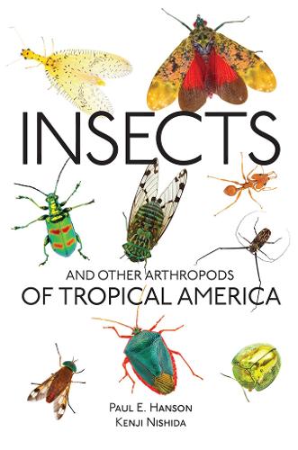 Бумажная книга «Insects and Other Arthropods of Tropical America», автор Пол Хэнсон - фото №1