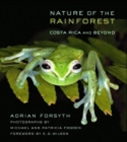 Бумажная книга «Nature of the Rainforest: Costa Rica and Beyond», автор Адриан Форсайт - фото №1