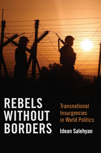 Бумажная книга «Rebels without Borders: Transnational Insurgencies in World Politics», автор Идан Салехян - фото №1