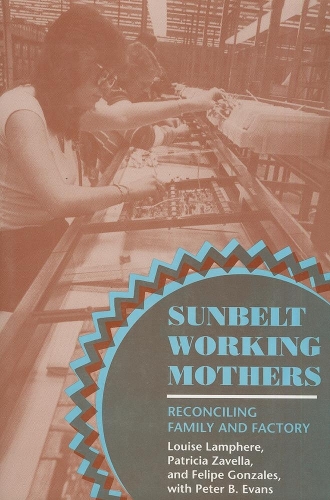 Паперова книга «Sunbelt Working Mothers: Reconciling Family and Factory», авторів Феліпе Гонзалес, Луїза Ламфер, Патриція Завелла - фото №1