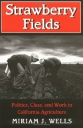Бумажная книга «Strawberry Fields: Politics, Class, and Work in California Agriculture», автор Мириам Дж. Уэллс - фото №1
