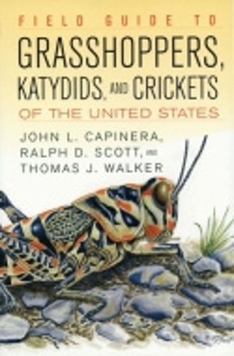 Бумажная книга «Field Guide to Grasshoppers, Katydids, and Crickets of the United States», авторов Джон Л. Капинера, Ральф Скотт, Томас Дж. Уокер - фото №1