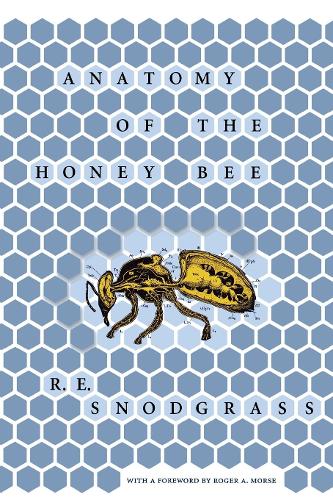 Бумажная книга «Anatomy of the Honey Bee», автор Р. Э. Снодграсс - фото №1