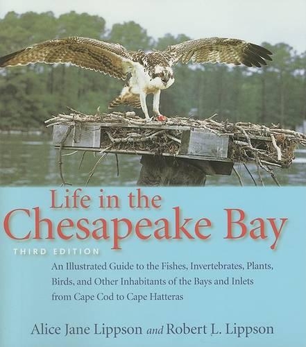 Бумажная книга «Life in the Chesapeake Bay», авторов Элис Джейн Липпсон, Роберт Л. Липпсон - фото №1