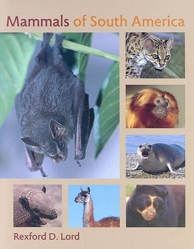 Бумажная книга «Mammals of South America», автор Рексфорд Д. Лорд - фото №1