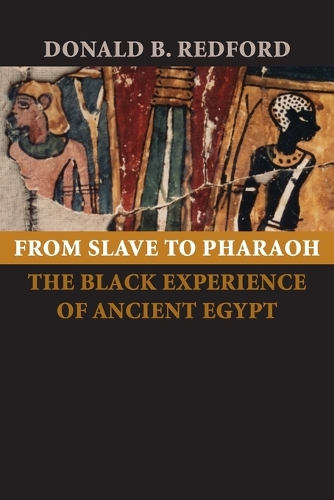 Бумажная книга «From Slave to Pharaoh: The Black Experience of Ancient Egypt», автор Дональд Б. Редфорд - фото №1