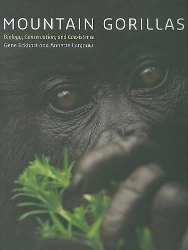 Бумажная книга «Mountain Gorillas: Biology, Conservation, and Coexistence», авторов Аннет Ланжув, Джин Экхарт - фото №1