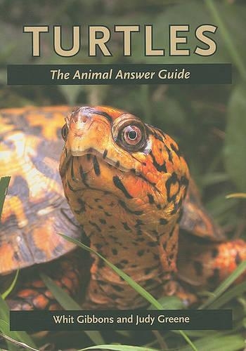 Бумажная книга «Turtles: The Animal Answer Guide», авторов Джуди Грин, Уит Гиббонс - фото №1