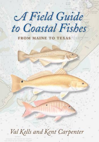 Паперова книга «A Field Guide to Coastal Fishes: From Maine to Texas», авторів Кент Карпентер, Валерія А. Келлс - фото №1