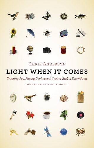 Паперова книга «Light When It Comes: Trusting Joy, Facing Darkness, and Seeing God in Everything», автор Кріс Андерсон - фото №1