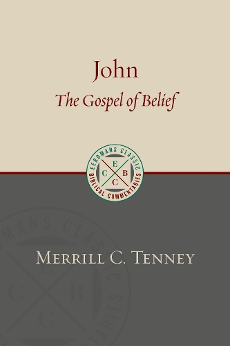 Бумажная книга «John: The Gospel of Belief: An Analytic Study of the Text», автор Меррилл К. Тенни - фото №1
