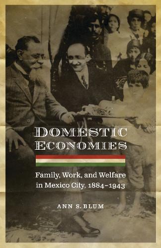 Бумажная книга «Domestic Economies: Family, Work, and Welfare in Mexico City, 1884-1943», автор Энн С. Блюм - фото №1