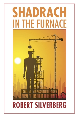 Паперова книга «Shadrach in the Furnace», автор Роберт Сильверберг - фото №1