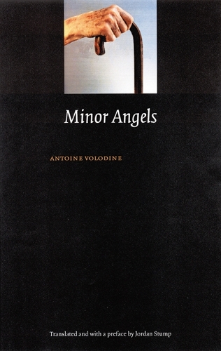 Бумажная книга «Minor Angels», автор Антуан Володин - фото №1