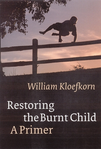 Бумажная книга «Restoring the Burnt Child: A Primer», автор Уильям Клоэфкорн - фото №1