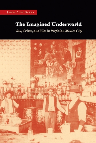 Паперова книга «The Imagined Underworld: Sex, Crime, and Vice in Porfirian Mexico City», автор Джеймс Алекс Гарза - фото №1