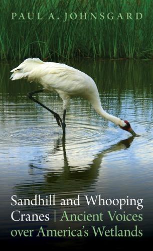 Бумажная книга «Sandhill and Whooping Cranes: Ancient Voices over America's Wetlands», автор Пол А. Джонсгард - фото №1