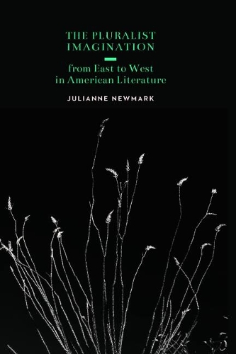Бумажная книга «The Pluralist Imagination from East to West in American Literature», автор Джулианна Ньюмарк - фото №1