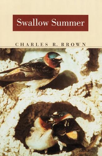 Бумажная книга «Swallow Summer», автор Чарльз Р. Браун - фото №1