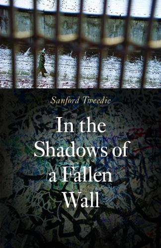 Бумажная книга «In the Shadows of a Fallen Wall», автор Сэнфорд Твиди - фото №1