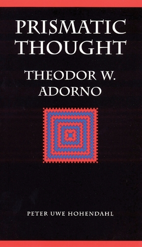 Паперова книга «Prismatic Thought: Theodor W. Adorno», автор Пітер Уве Гогендаль - фото №1