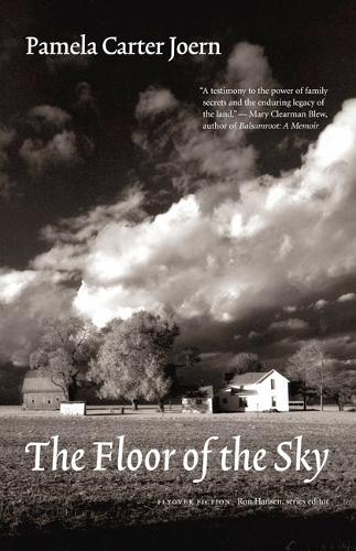 Бумажная книга «The Floor of the Sky», автор Памела Картер Джоерн - фото №1