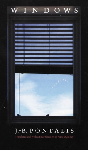 Бумажная книга «Windows», автор Ж.-Б. Понталис - фото №1