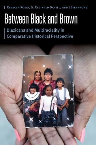 [object Object] «Between Black and Brown: Blaxicans and Multiraciality in Comparative Historical Perspective», автор Г. Реджинальд Дэниел - фото №1