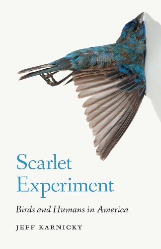 Бумажная книга «Scarlet Experiment: Birds and Humans in America», автор Джефф Карницки - фото №1