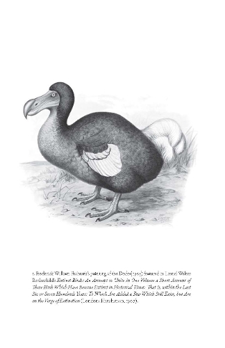 Бумажная книга «Flock Together: A Love Affair with Extinct Birds», автор Б.Дж. Холларс - фото №1