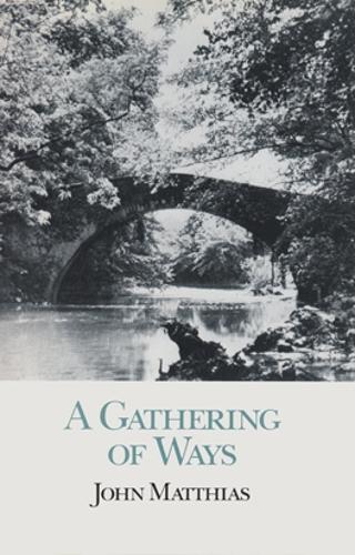 Бумажная книга «A Gathering of Ways», автор Джон Маттиас - фото №1