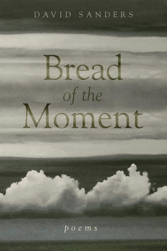 Бумажная книга «Bread of the Moment: Poems», автор Дэвид Сандерс - фото №1